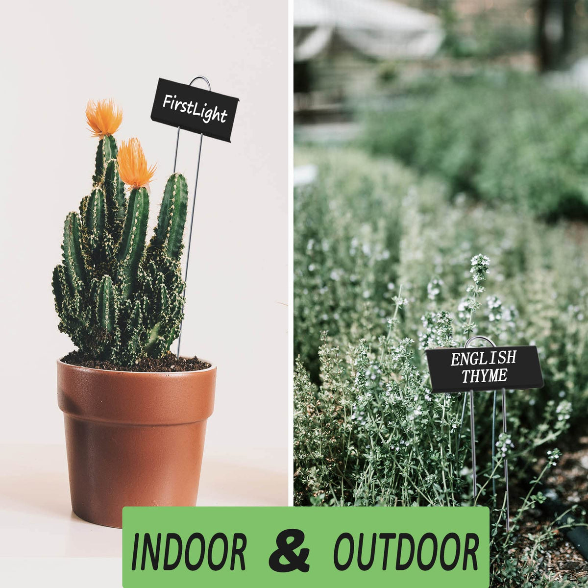 GHAMYEE plant markers with pen enable clear notes for plants