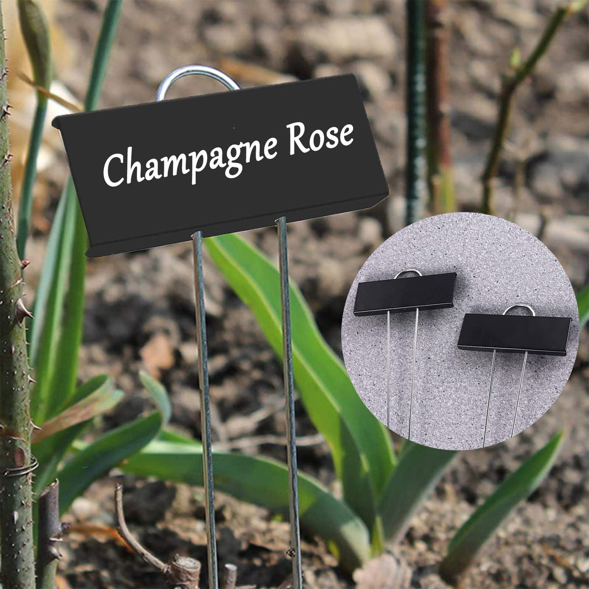 GHAMYEE seedling and herb labels help organized beds
