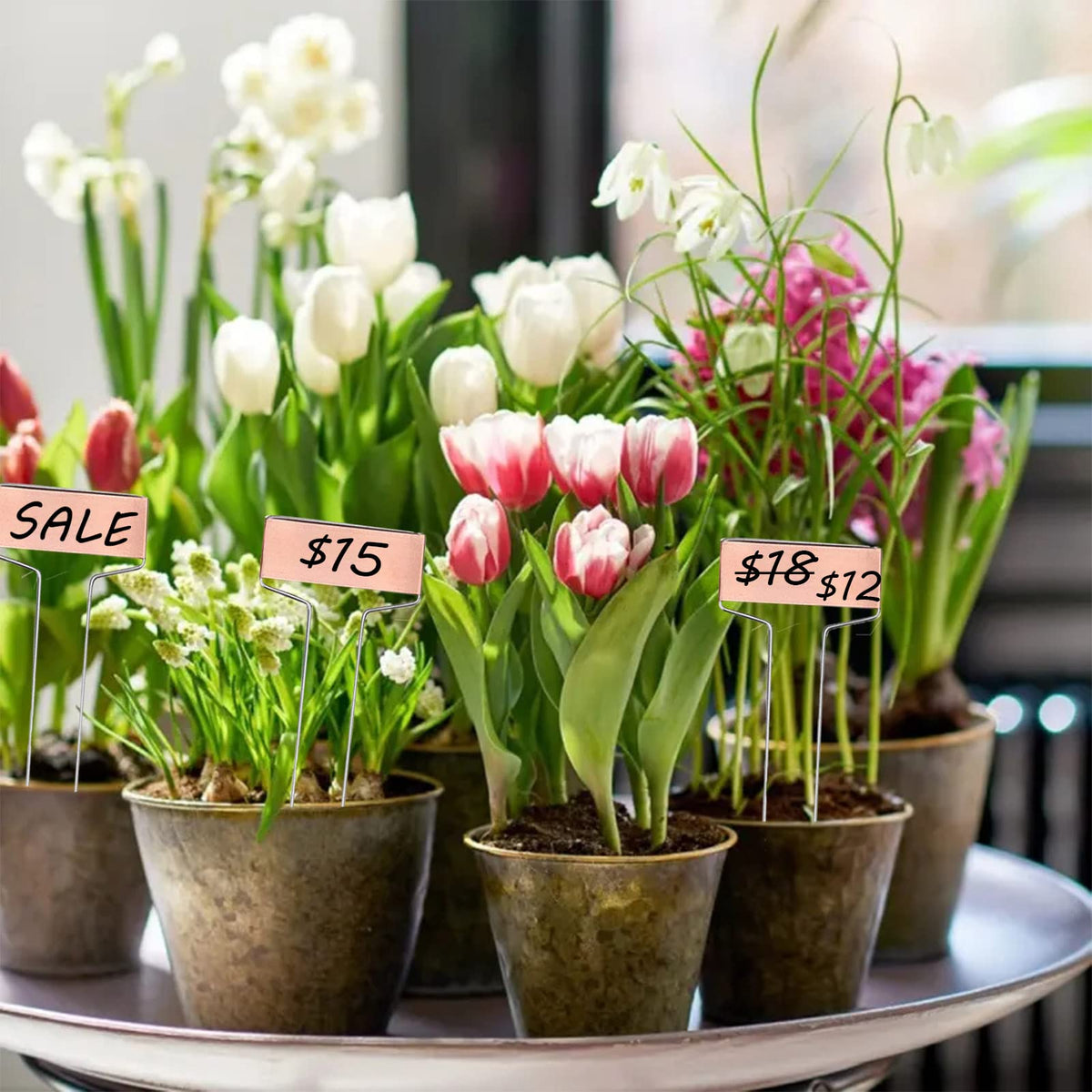 GHAMYEE indoor/outdoor labels organize pots and greenhouse sections.