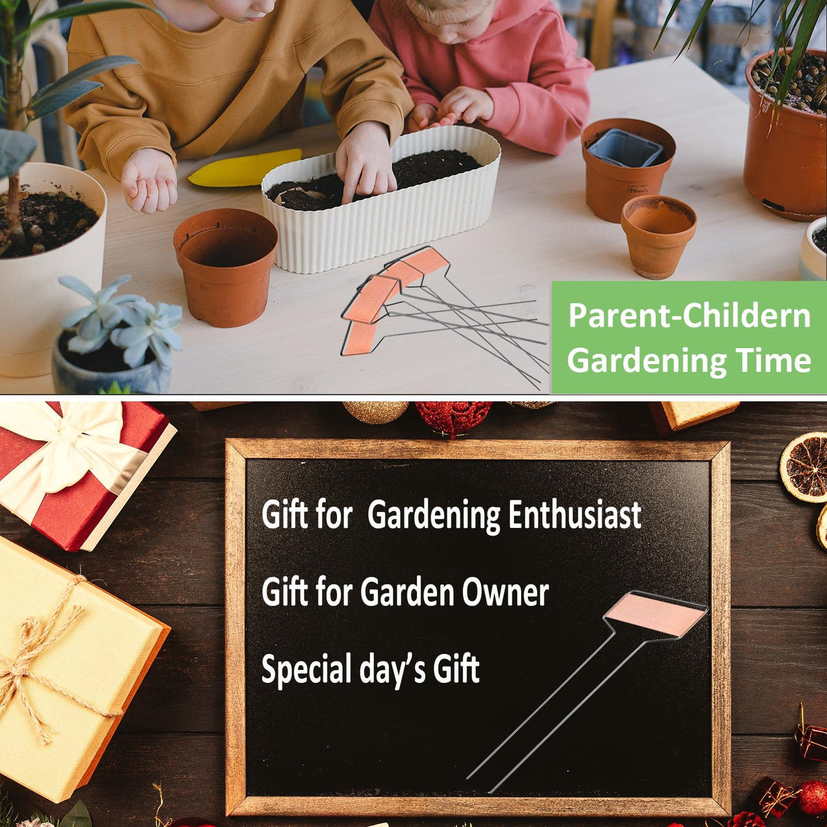 GHAMYEE seedling herb vegetable labels support notes and timing.