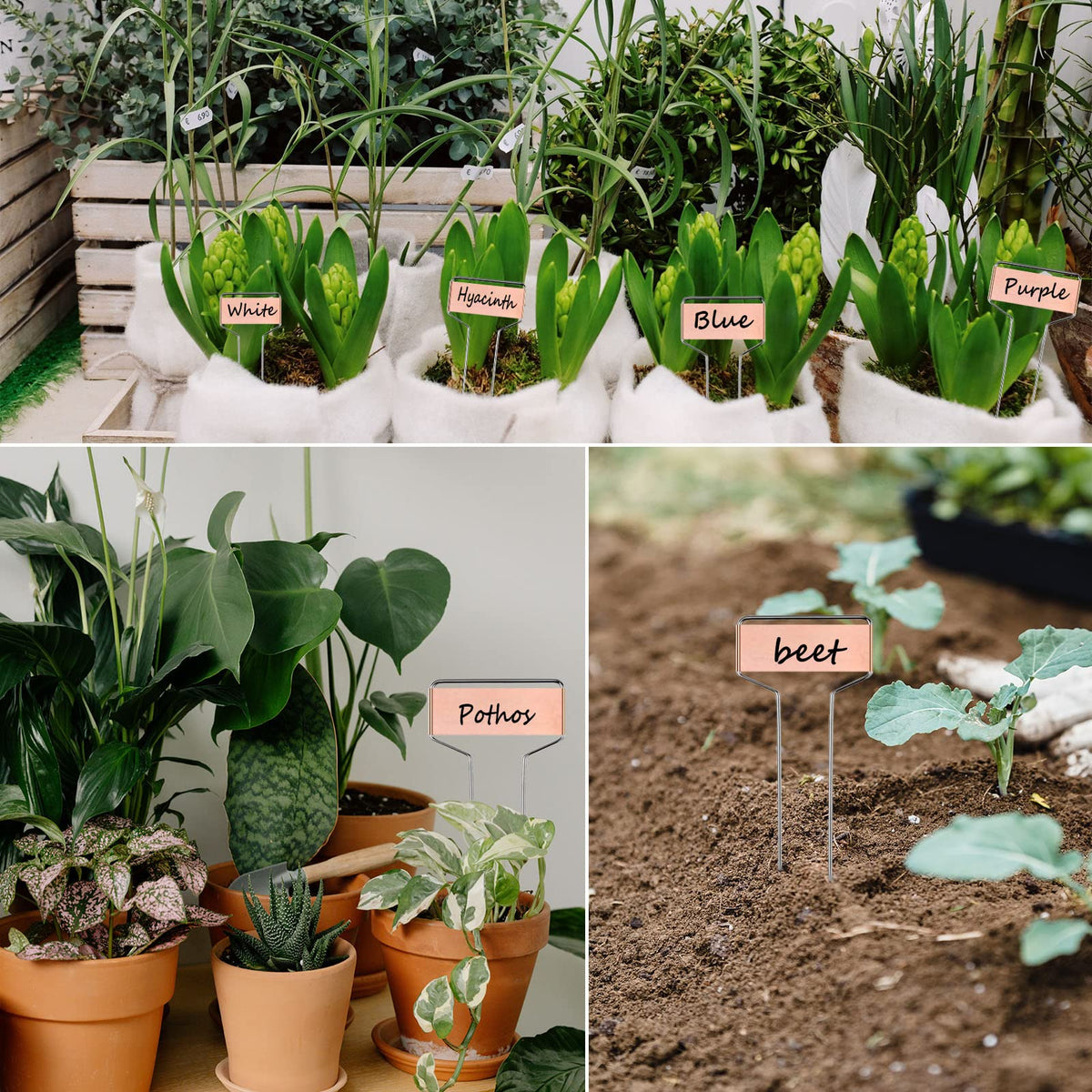 GHAMYEE waterproof garden tags suitable for rain-exposed beds.