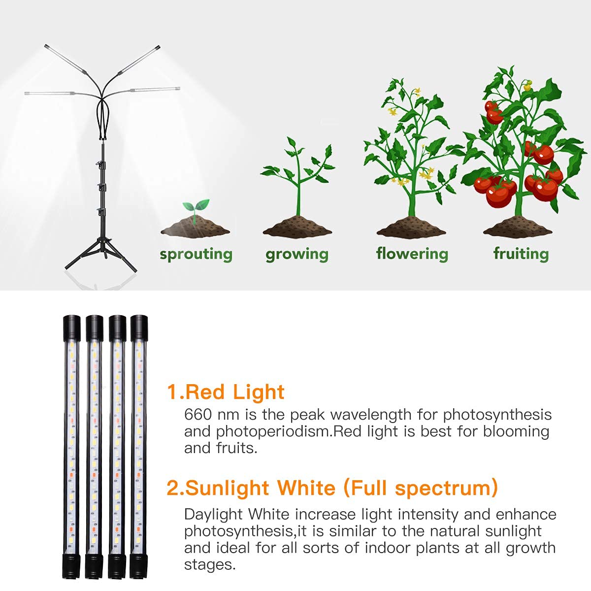 GHodec Grow Light 4-head LED array providing even coverage for seedlings
