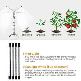 GHodec Grow Light 4-head LED array providing even coverage for seedlings