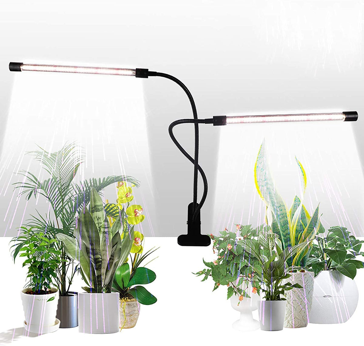GHodec grow light full spectrum 84 LED clip illuminates indoor plants for even growth