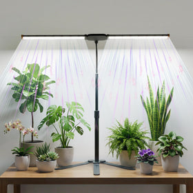 GHodec grow light for indoor plants with strip setup brightening compact spaces