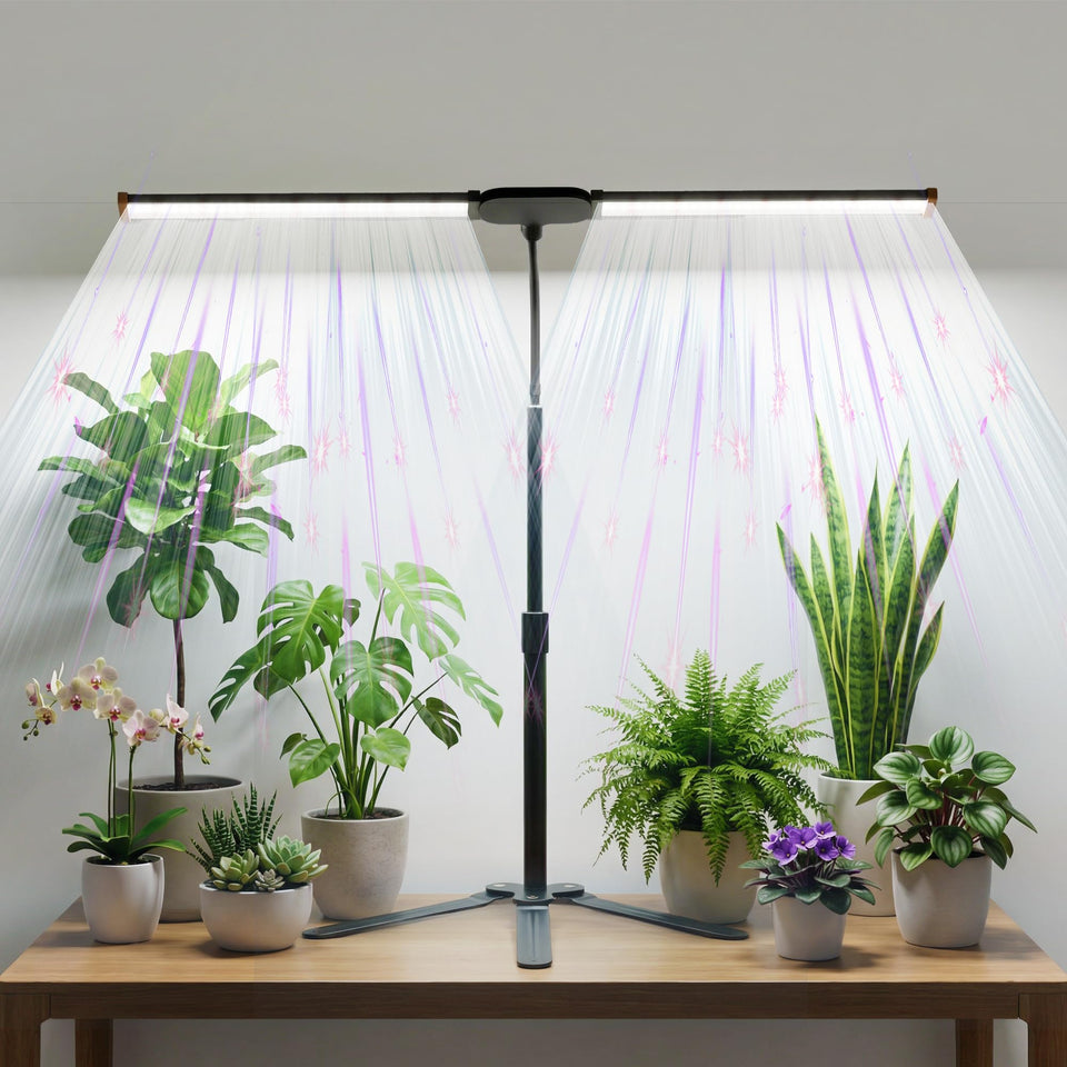 GHodec grow light for indoor plants with strip setup brightening compact spaces