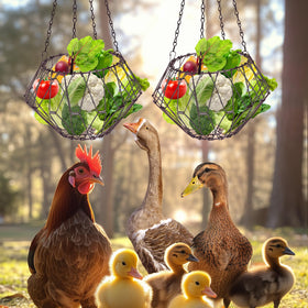 GHWMYD feeder in coop setting saves space and supports multiple birds