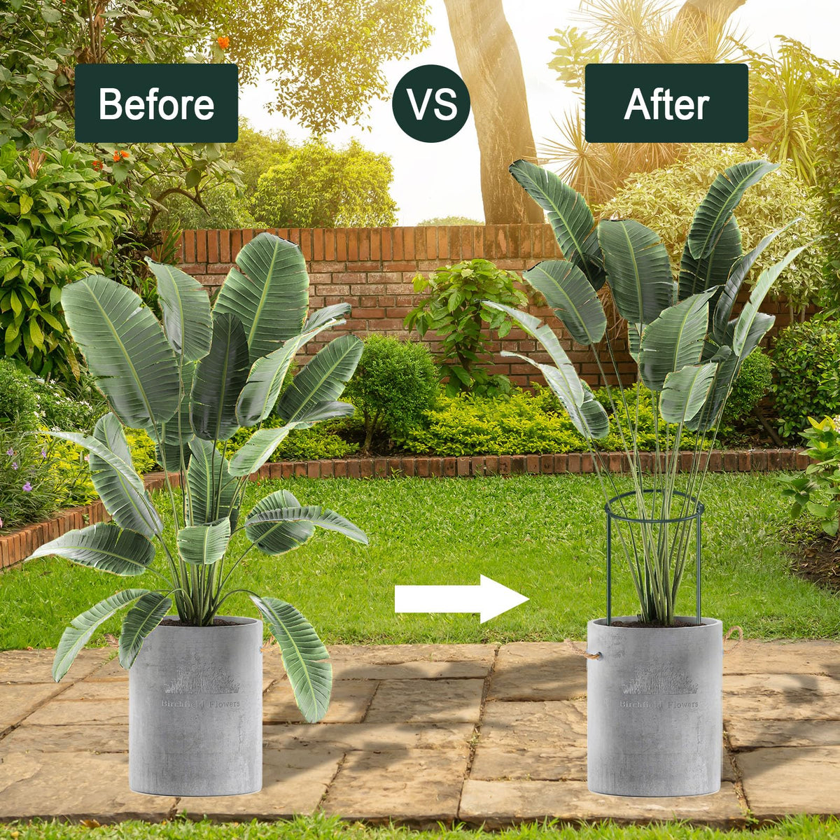 Gicare easy-to-install stakes push into soil for quick setup