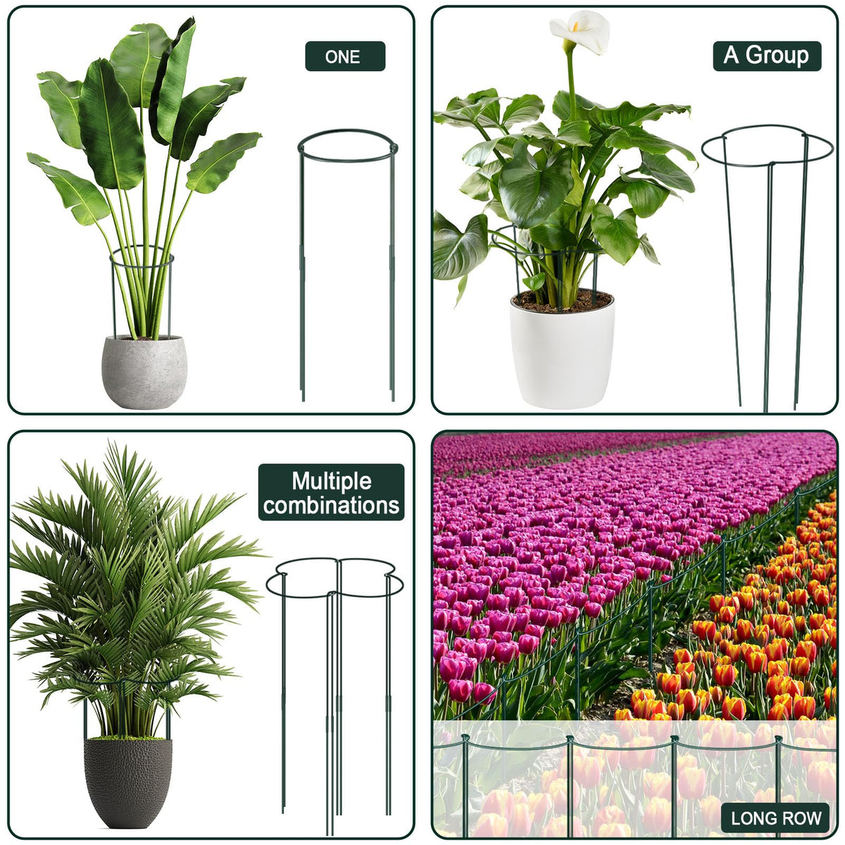 Gicare green powder-coated iron cages resist sun and rain with durable design