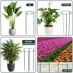 Gicare green powder-coated iron cages resist sun and rain with durable design