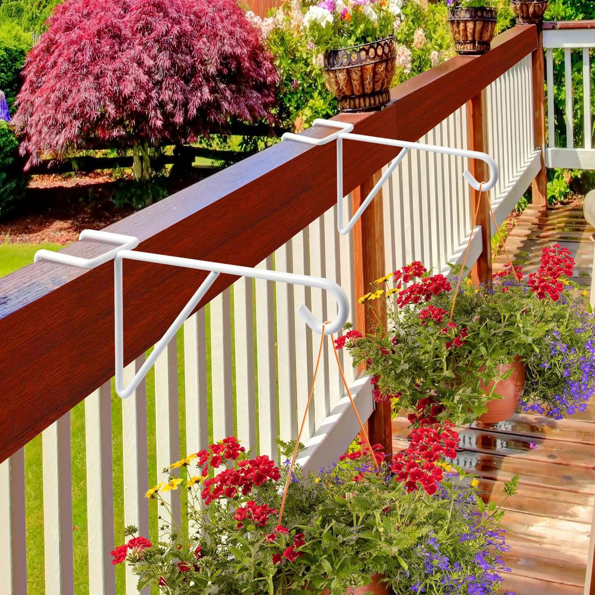 Gicare hanging basket on fence demonstrating versatile use.
