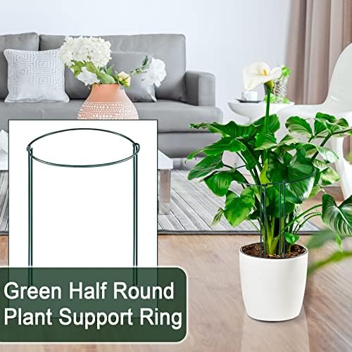 Gicare plant support ring blends with greenery while guiding vertical growth