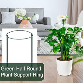 Gicare plant support ring blends with greenery while guiding vertical growth