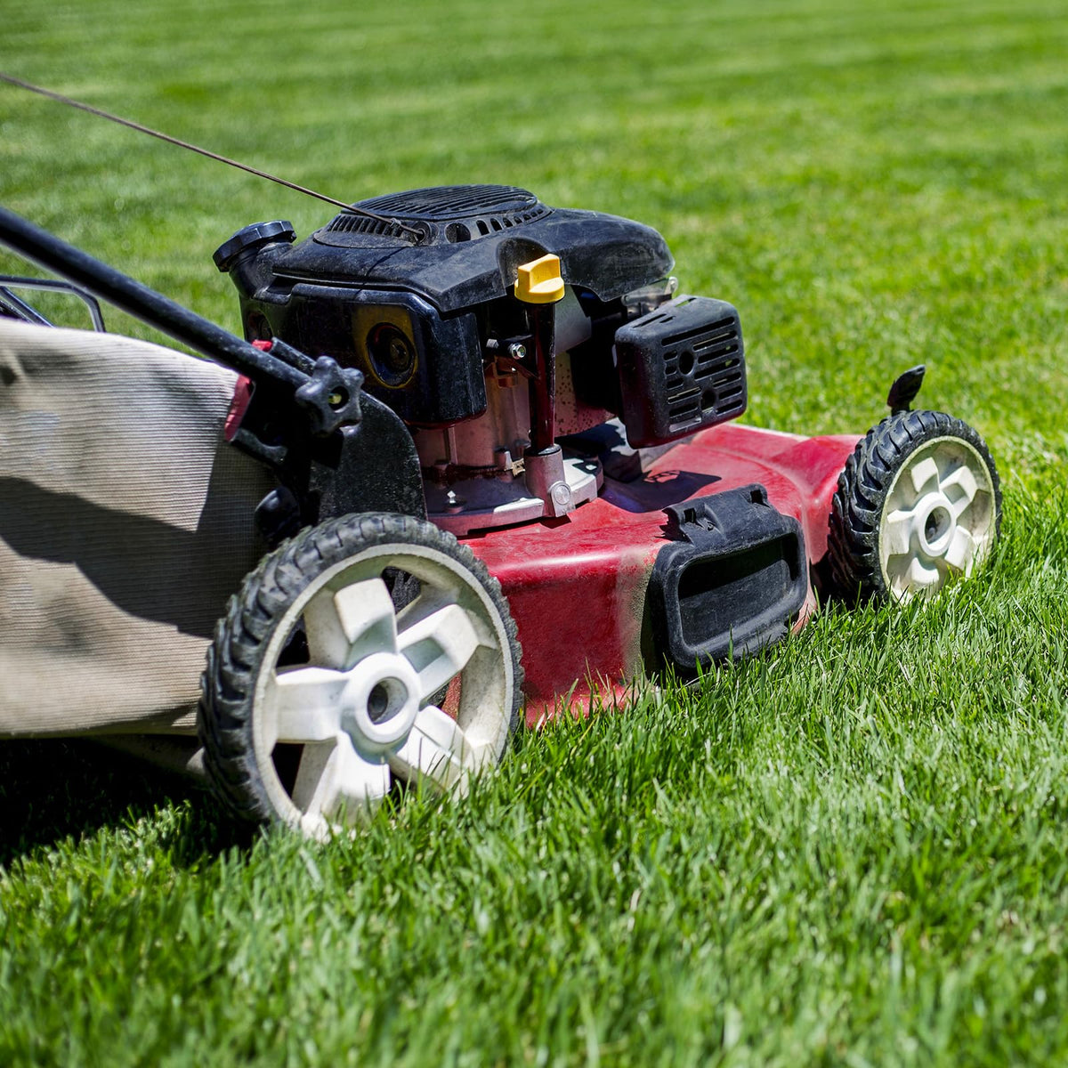 GICOOL 2-pack front drive wheels for mower maintenance.