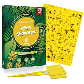 Gideal 20-pack yellow sticky traps ready for 6x8in deployment indoors and outdoors.