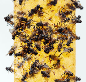 Gideal 4-pack box image emphasizes value and ready-to-use solution.