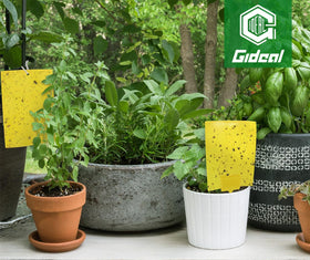 Gideal 6x8in traps provide simple pest monitoring across balconies and gardens.