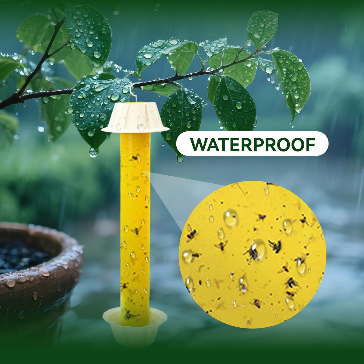 Gideal fly trap action captures multiple flying insects.