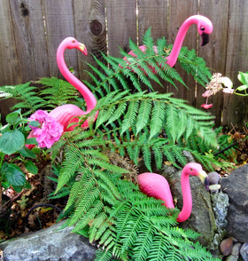 GiftExpress flamingos feature a painted beak and embossed feather pattern