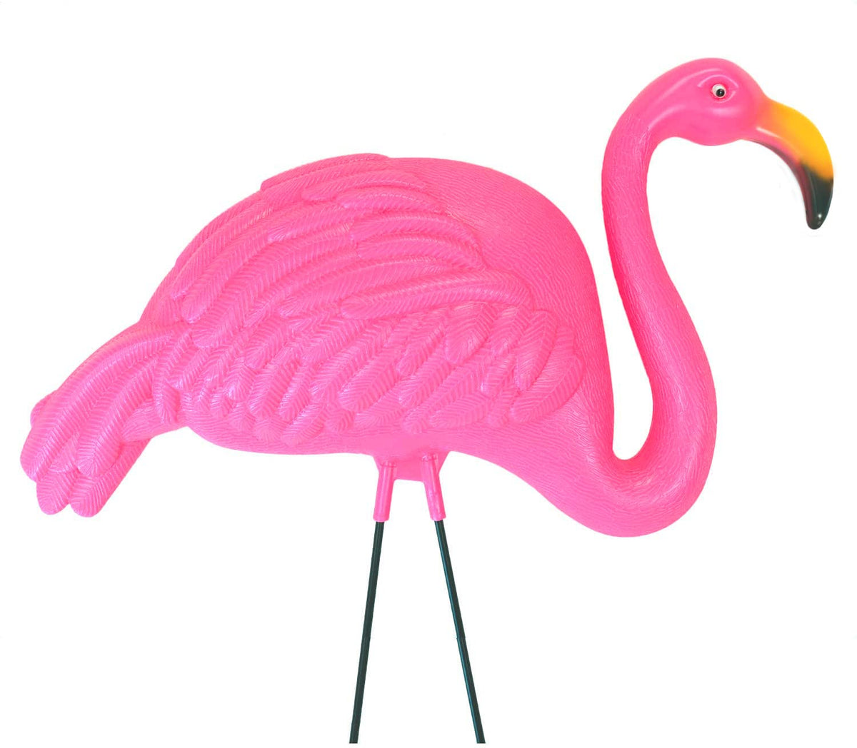 GiftExpress vibrant pink color brightens outdoor spaces.