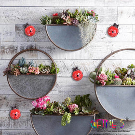 Sunlit finish highlights the glossy red ladybugs for eye-catching yard decor.