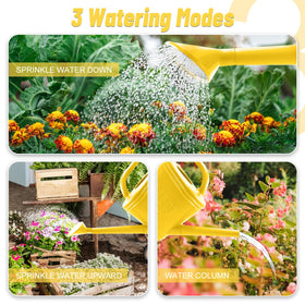 Giftsfaloy 2-gallon capacity reduces refills during garden watering.