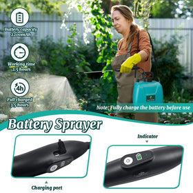 Giftsfaloy sprayer with telescopic wand extended for reaching high branches and corners.