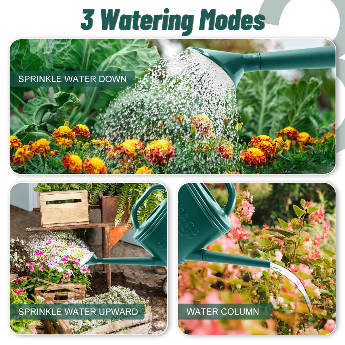 Giftsfaloy long-spout watering can for precise reach to plant roots.