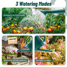 Giftsfaloy long-spout watering can for precise reach to plant roots.