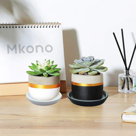 GIKUPOM indoor-outdoor compatible saucer 4-inch for versatile plant care.