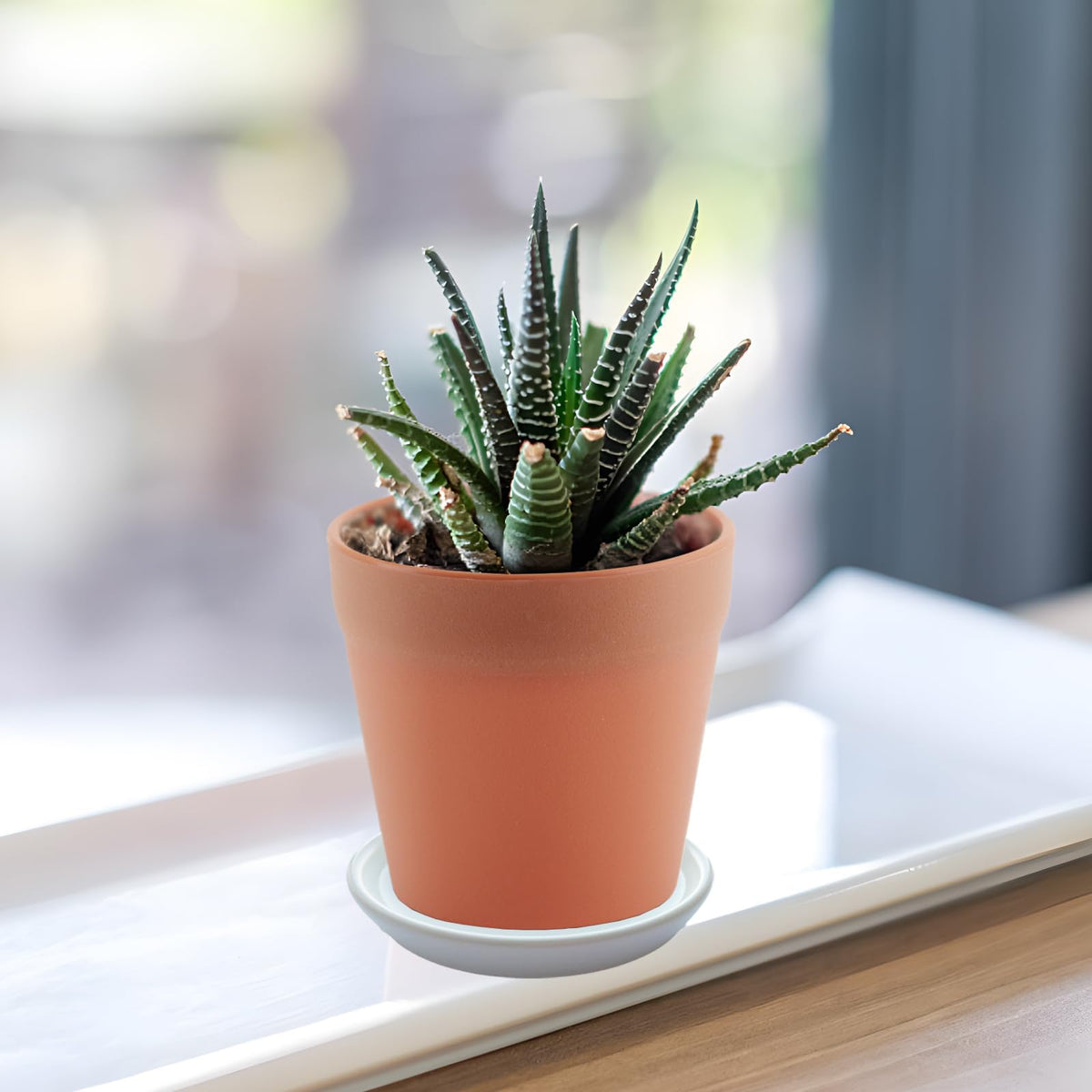 GIKUPOM leak-proof bottom glazed saucer prevents moisture reach to floors.