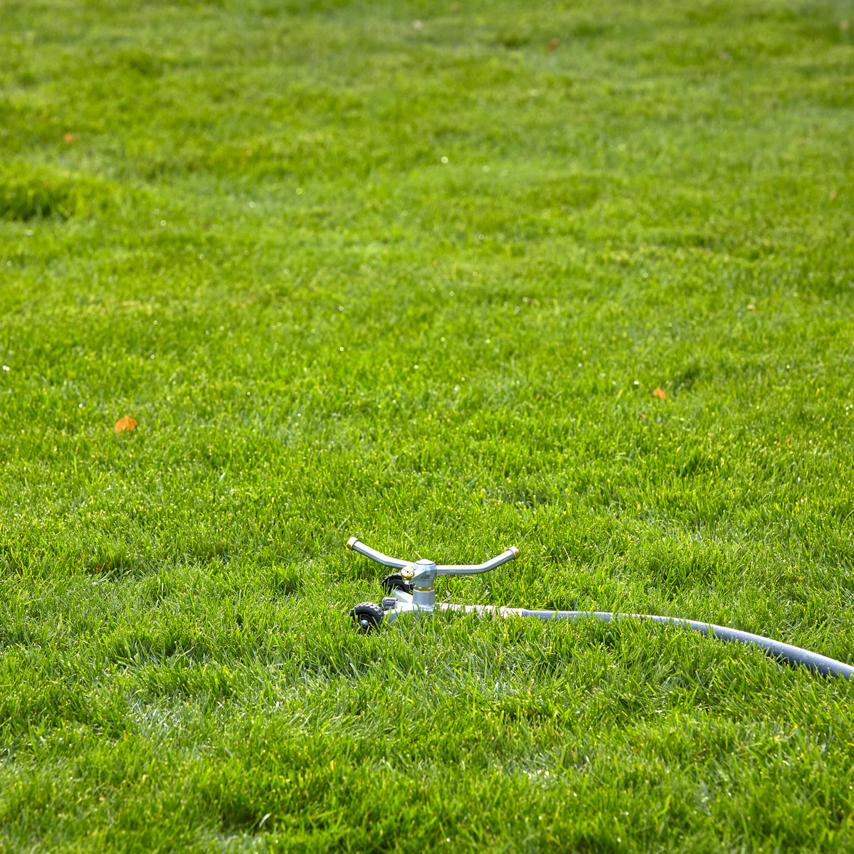 Gilmour spinning sprinkler head provides a gentle rain-like spray for flower beds