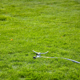Gilmour spinning sprinkler head provides a gentle rain-like spray for flower beds