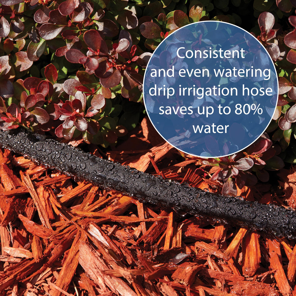 Gilmour water delivery setup installed above ground for targeted root hydration.