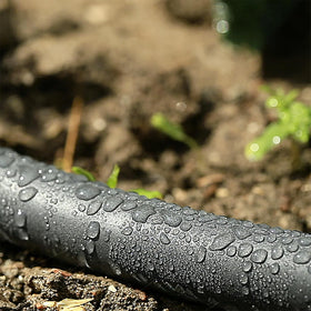 Gilmour weeper hose installed above ground near plants