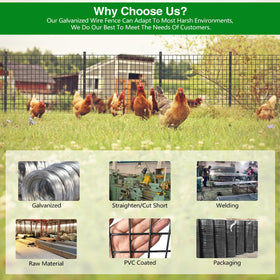 GILPWA 16ga welded wire offers strength for DIY projects and borders.