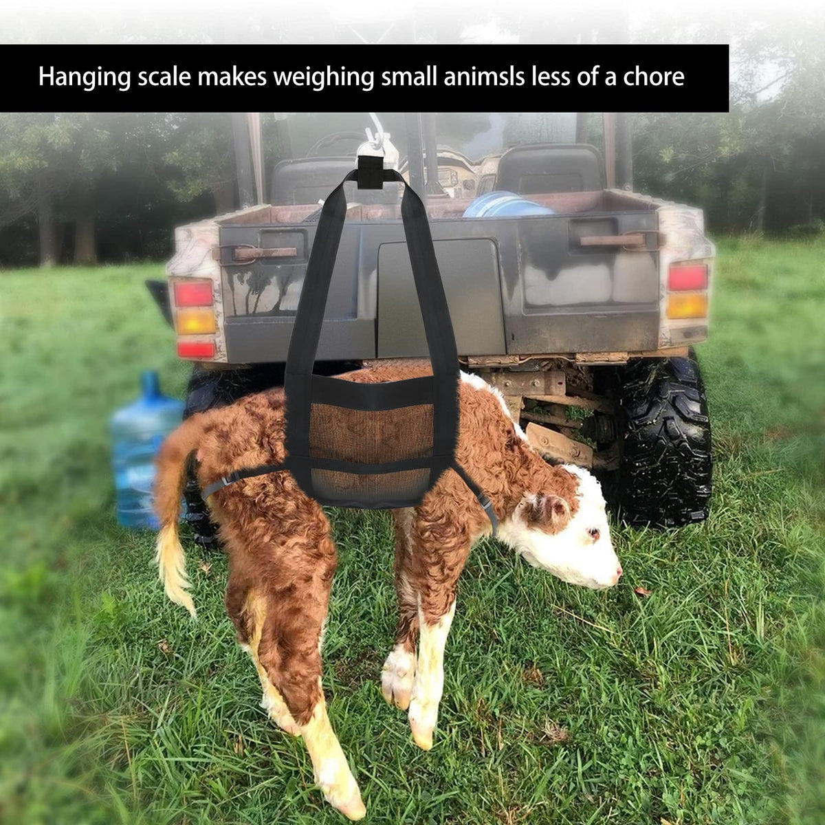 GINDOOR foldable sling stored flat between weighings.