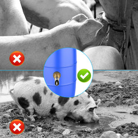 GINDOOR goat and pig setup ready waterer helps keep livestock hydrated.