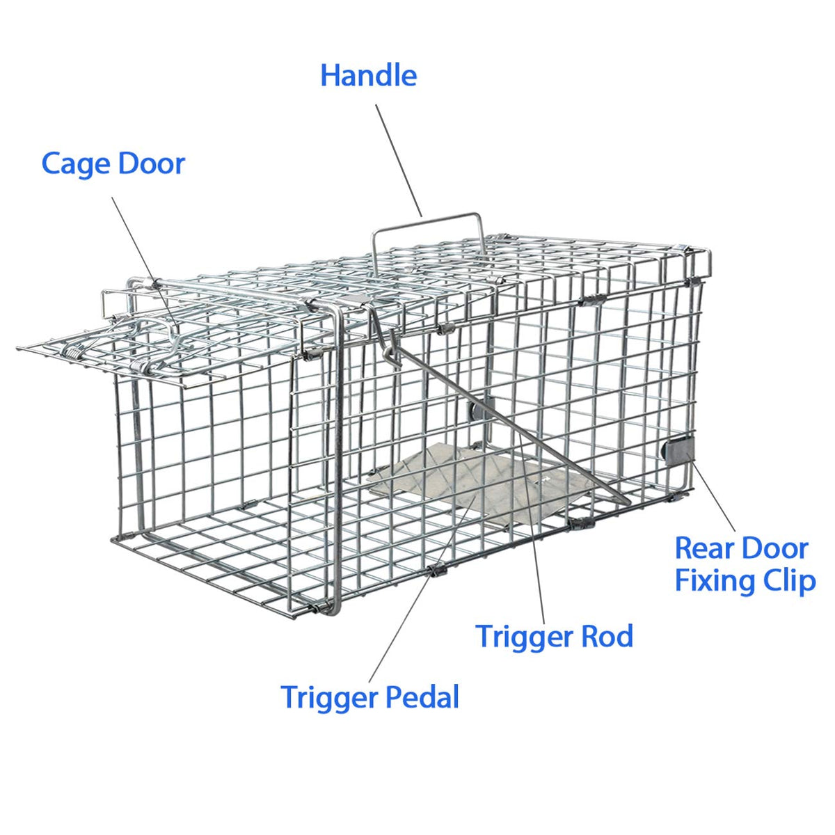 Gingbau Foldable cage design saves space for easy storage after use.
