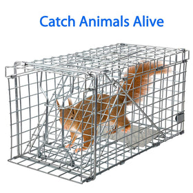 Gingbau Heavy-duty galvanized iron mesh resists chewing and extends trap life.