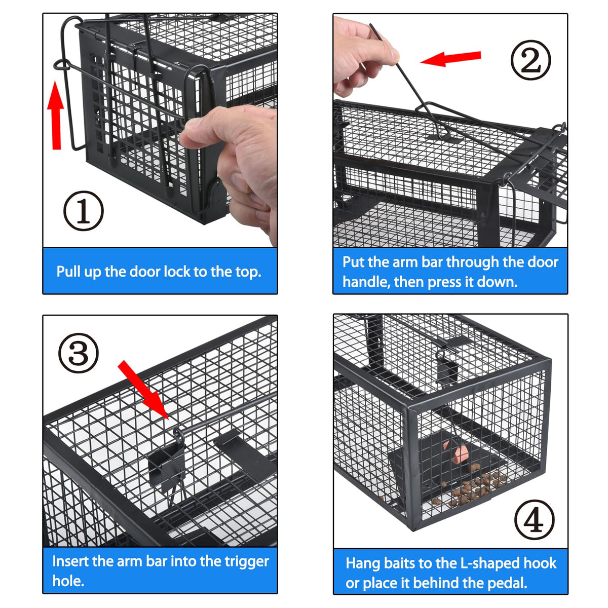 Gingbau humane live-trap top view showing quick door closure.