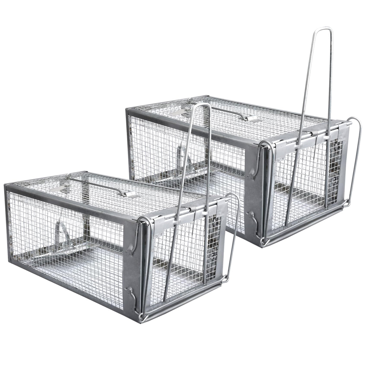 Gingbau humane trap front view shows compact galvanized steel for indoor placement.