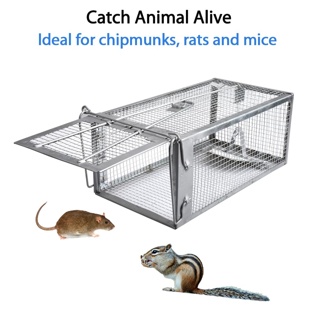 Gingbau humane trap open-door demonstrates easy catch and quick release.