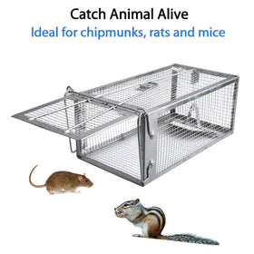 Gingbau humane trap open-door demonstrates easy catch and quick release.