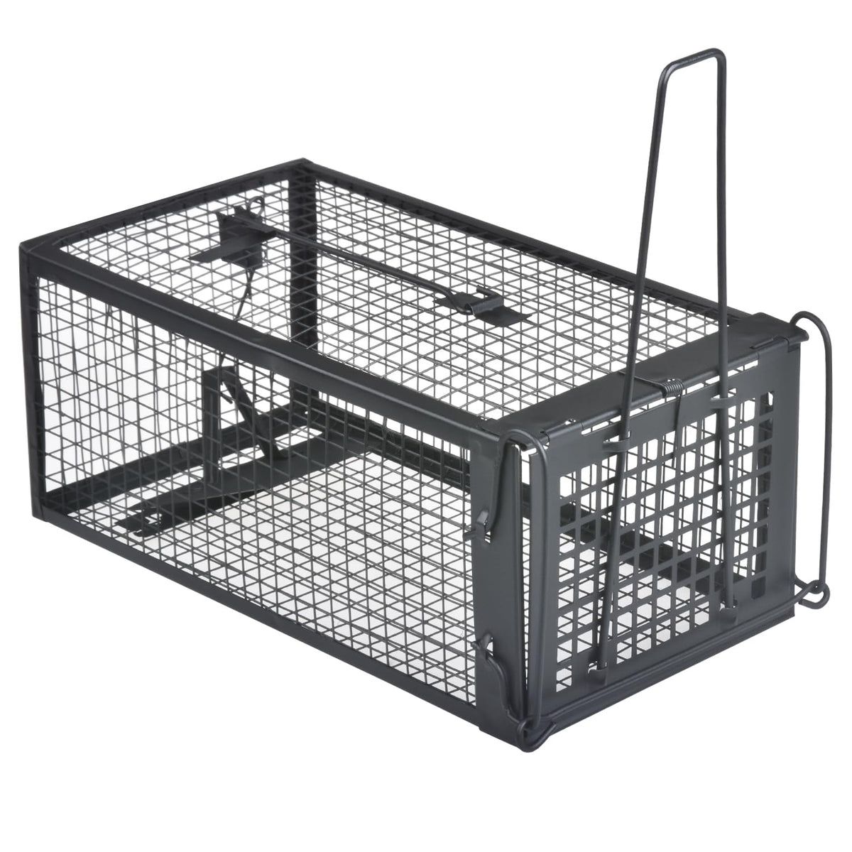 Gingbau live trap with closed door after capture for safe release.