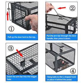 Gingbau live trap ready for outdoor release after capture.