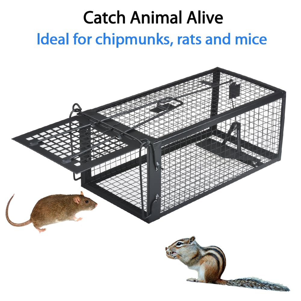 Gingbau rodent trap side view highlights durable galvanized steel.