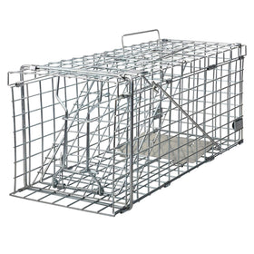 Gingbau Squirrel Trap Foldable setup video shows quick, humane capture readiness for garden pests.