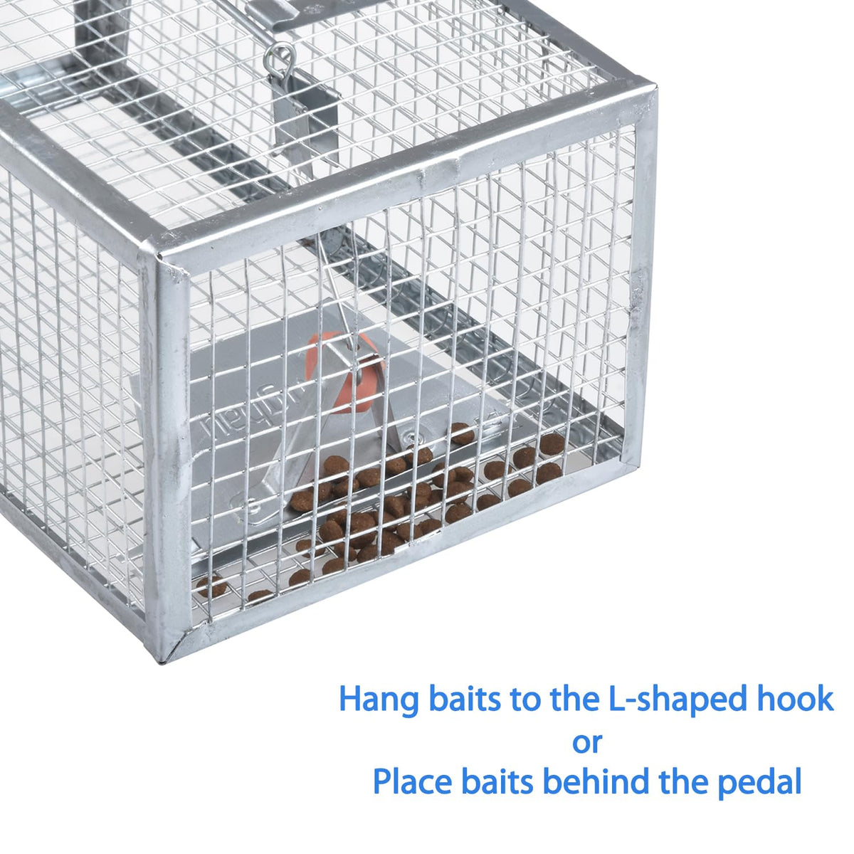 Gingbau release-area setup shows safe distance for releasing rodents.