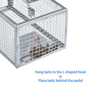 Gingbau release-area setup shows safe distance for releasing rodents.